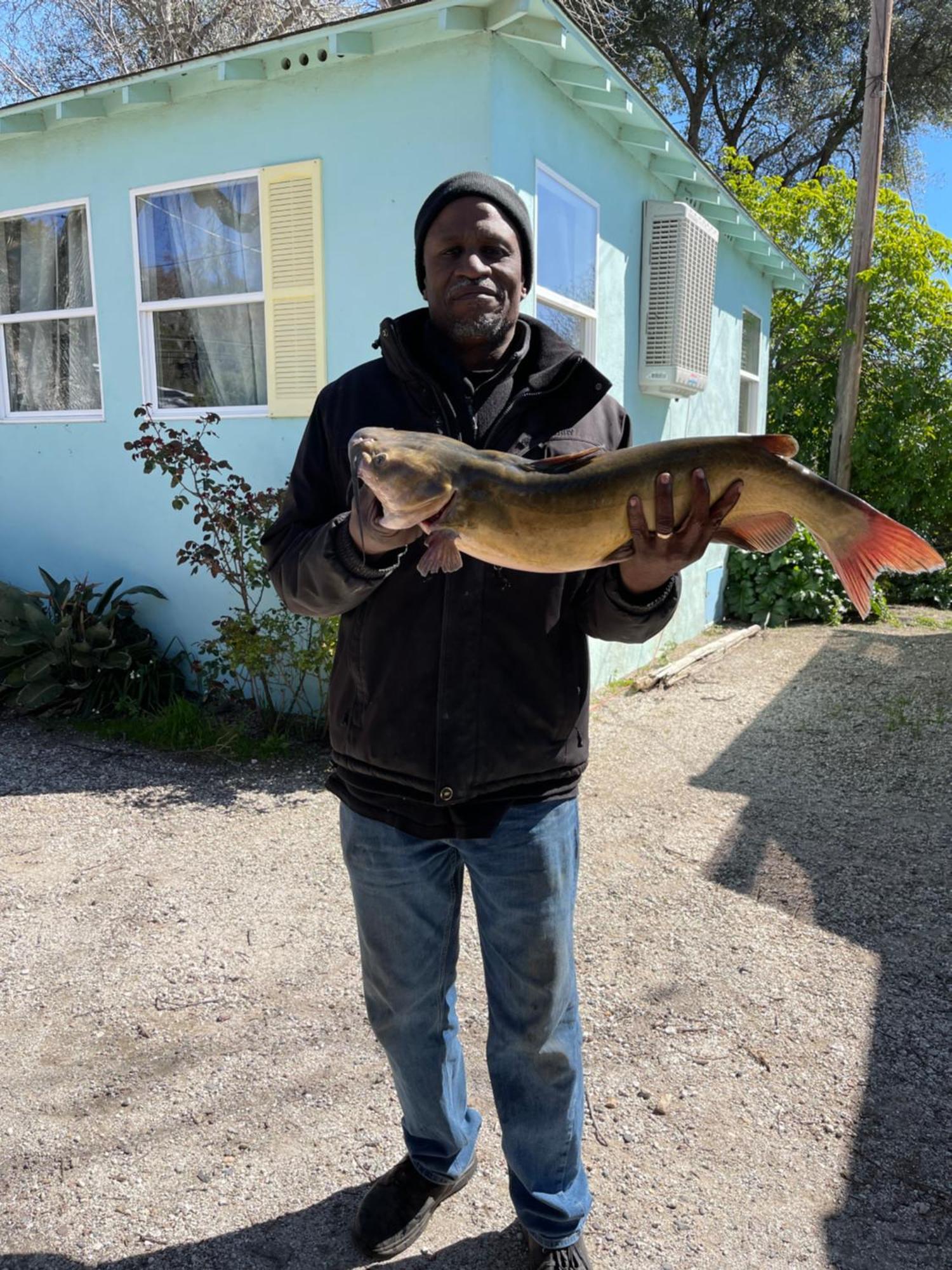 Omeo Clearlake Oaks Glenhaven Buitenkant foto